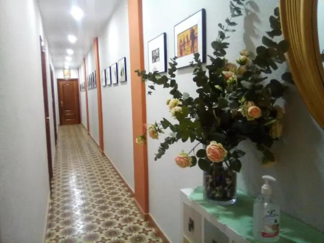 Las Golondrinas Habitacion En Piso Centrico Para Una O Dos Personas 萨拉戈萨 外观 照片